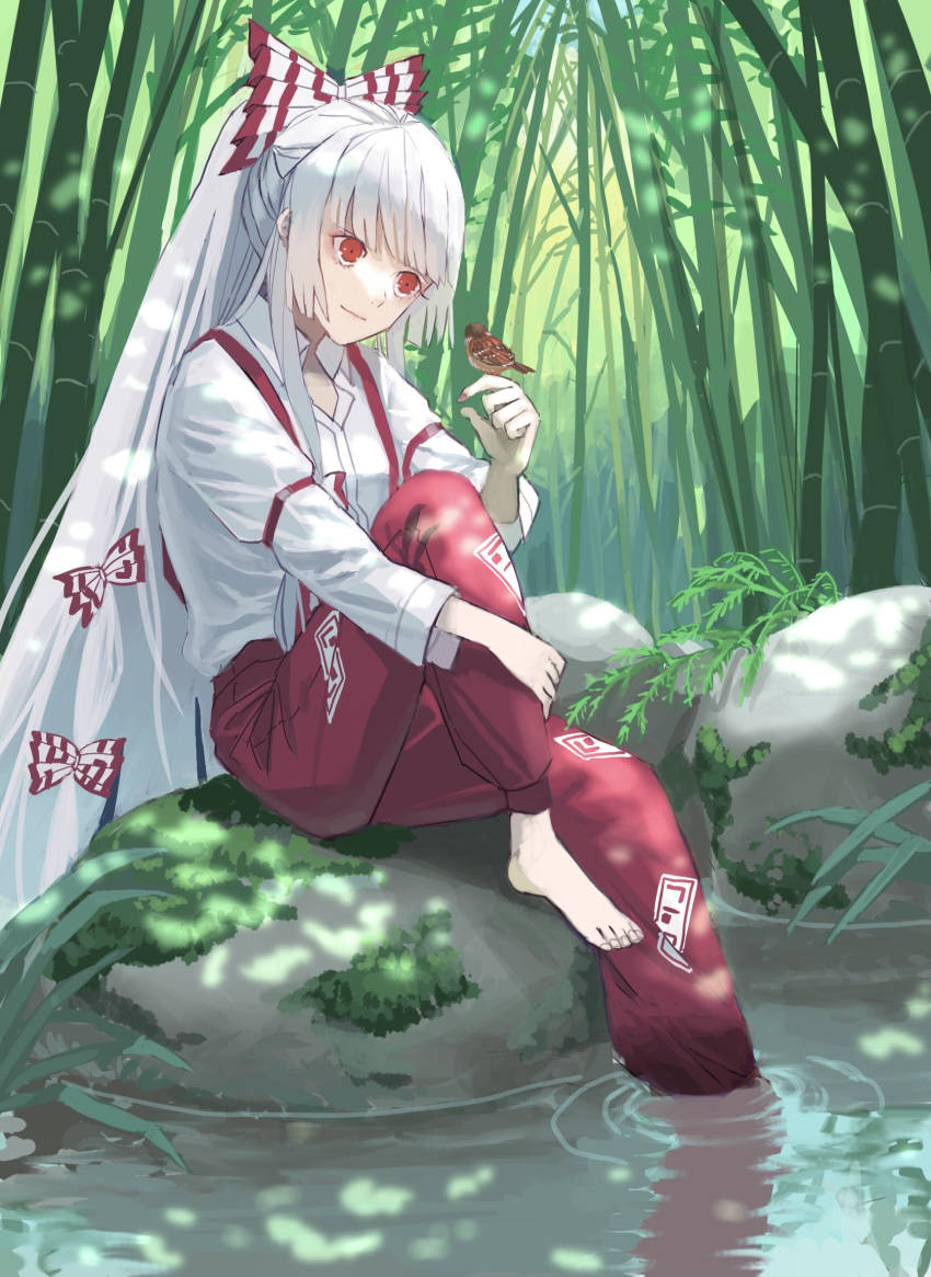 1girl arm_garter arm_up baggy_pants bamboo bamboo_forest bangs barefoot bird bird_on_hand blunt_bangs blush bow closed_mouth collared_shirt day eyelashes forest fujiwara_no_mokou grass hair_bow hand_on_own_leg highres light_smile long_hair long_sleeves moss nanasuou nature ofuda ofuda_on_clothes pants red_eyes reflection ripples river shirt sitting sitting_on_rock smile solo sparrow suspenders touhou two-tone_bow very_long_hair white_hair wing_collar