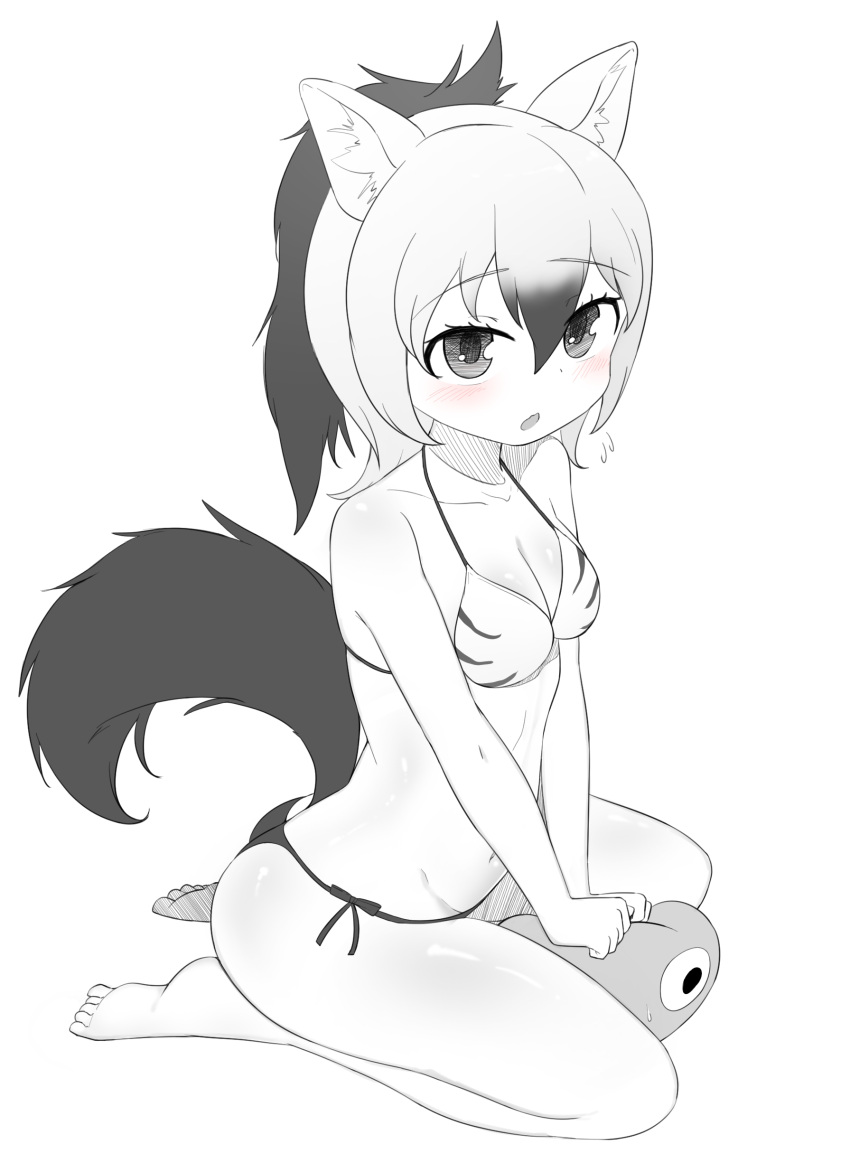 1girl aardwolf_(kemono_friends) aardwolf_ears aardwolf_tail absurdres bangs barefoot bikini blush breasts chis_(js60216) commentary_request eyebrows_visible_through_hair flying_sweatdrops halterneck highres kemono_friends kneeling long_hair looking_at_viewer medium_breasts navel open_mouth ponytail side-tie_bikini solo spot_color swimsuit v_arms