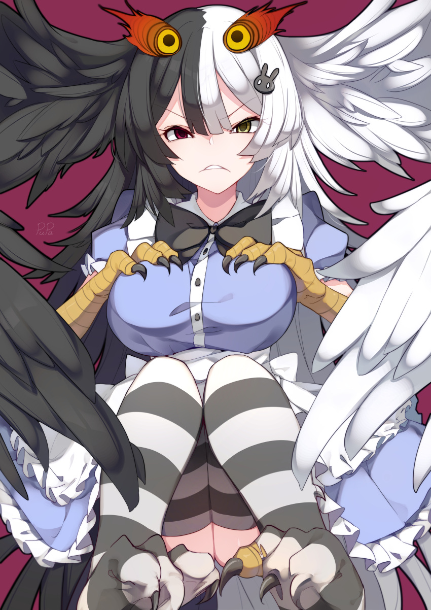1girl absurdres alternate_costume animal_hands bird_legs black_bow black_bowtie black_feathers black_hair black_souls black_stripes black_wings blue_dress bow bowtie breasts chinese_commentary claws commentary_request dress eyebrows_visible_through_hair frown hands_on_own_breasts harpy head_wings heterochromia highres jubjub_(black_souls) large_breasts legs legs_together long_hair monster_girl multicolored_hair parted_lips pupa_jiang red_background red_eyes striped striped_legwear talons thighs torn_clothes torn_legwear two-tone_hair very_long_hair white_feathers white_hair white_stripes white_wings wings yellow_eyes