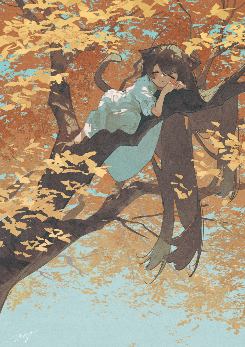 1girl animal_ear_fluff animal_ears autumn_leaves bangs blue_dress blue_sky blush branch brown_hair cat_ears cat_tail closed_eyes closed_mouth day dress full_body highres in_tree long_hair lying on_stomach original outdoors potg_(piotegu) signature sky smile solo symbol-only_commentary tail tree very_long_hair