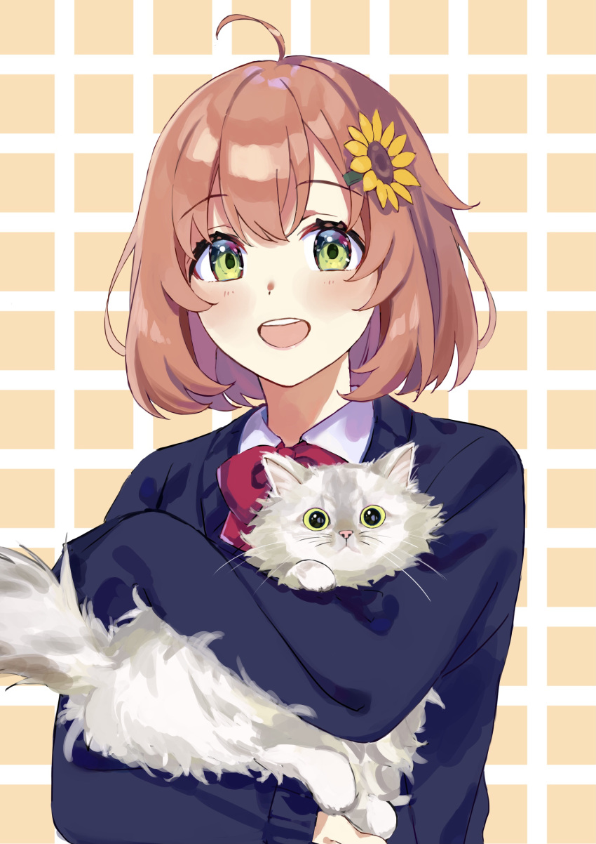 1girl absurdres ahoge animal bangs bird_shio blazer blue_jacket bow bowtie brown_hair cat collared_shirt eyebrows_visible_through_hair flower green_eyes hair_flower hair_ornament highres holding holding_animal holding_cat honma_himawari jacket looking_at_viewer nijisanji open_mouth orange_background red_bow school_uniform shirt short_hair smile solo sunflower_hair_ornament teeth two-tone_background upper_body upper_teeth virtual_youtuber white_background white_shirt