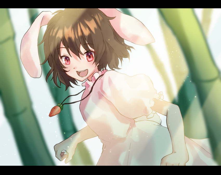 1girl animal_ears bamboo bangs brown_hair carrot_necklace commentary_request cowboy_shot dress eyebrows_visible_through_hair floppy_ears frilled_dress frilled_sleeves frills highres inaba_tewi letterboxed looking_at_viewer merukoodo open_mouth pink_dress puffy_short_sleeves puffy_sleeves rabbit_ears rabbit_tail red_eyes short_hair short_sleeves smile solo tail touhou wavy_hair