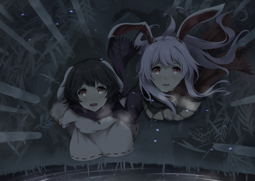 2girls animal_ears bamboo bamboo_forest bangs black_hair blue_scarf breath carrot_necklace commentary_request dress eyebrows_visible_through_hair floppy_ears forest frilled_sleeves frills from_above full_body grass hair_between_eyes highres inaba_tewi long_hair looking_up multiple_girls nature night open_mouth otomeza_ryuseigun pink_dress pink_skirt pleated_skirt puffy_short_sleeves puffy_sleeves rabbit_ears red_eyes red_scarf reisen_udongein_inaba ribbon-trimmed_dress scarf short_hair short_sleeves skirt smile standing touhou