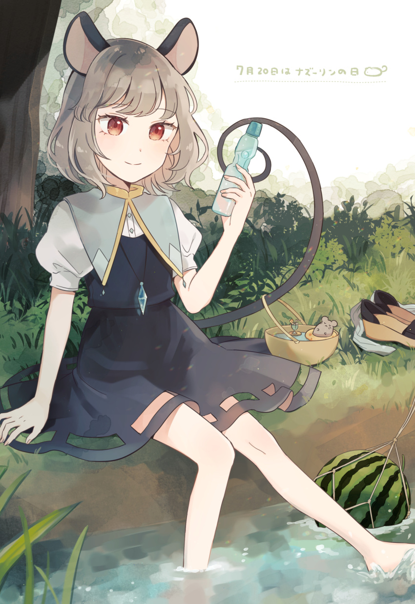 1girl animal_ears bangs black_dress blue_capelet blush bottle bush capelet closed_eyes closed_mouth commentary_request cup dress drinking_glass drinking_straw food fruit gold_trim grass grey_hair highres holding holding_bottle jewelry mouse mouse_ears mouse_girl mouse_tail mozukuzu_(manukedori) nazrin pendant puffy_short_sleeves puffy_sleeves ramune red_eyes river shirt shoes shoes_removed short_hair short_sleeves sitting smile socks_removed solo splashing swimming tail touhou tree water watermelon white_legwear white_shirt yellow_innertube