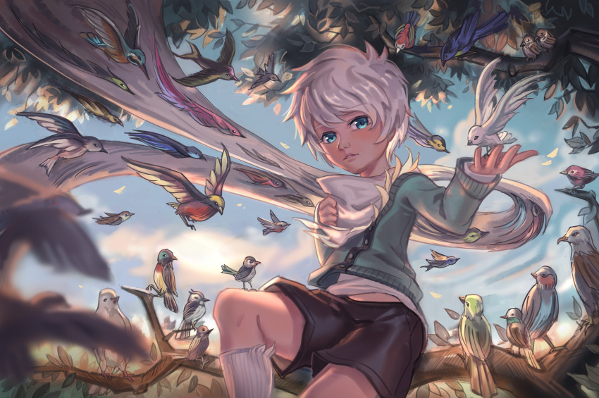 1boy absurdres bird blue_eyes branch clouds cloudy_sky commentary_request highres in_tree male_focus midriff midriff_peek morning original outdoors scenery short_hair shorts sitting sitting_in_tree sky slash solo_focus tree whinghope white_hair white_legwear