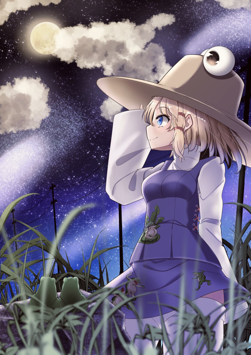 1girl animal_print arm_at_side bangs blonde_hair blue_eyes blush breasts brown_headwear clouds commentary_request cross-laced_clothes frog frog_print full_moon grass hair_ribbon high_collar highres long_sleeves looking_to_the_side medium_breasts moon moriya_suwako night onkona_minazuki purple_vest pyonta red_ribbon red_rope ribbon rock rope shirt short_hair sidelocks sky smile solo standing star_(sky) starry_sky thigh-highs touhou tress_ribbon utility_pole vest white_legwear white_shirt