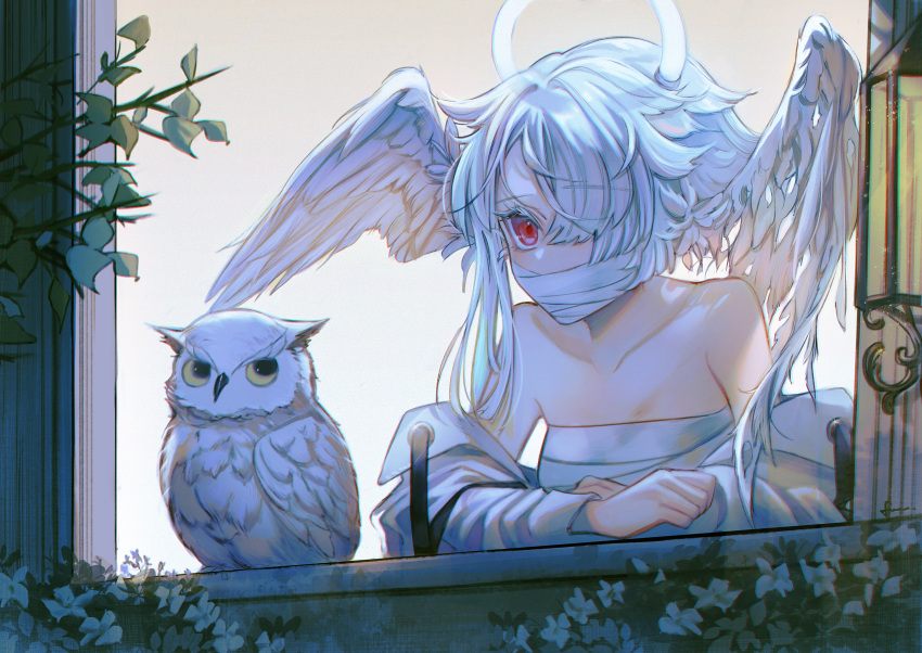 1girl angel_wings bandage_on_face bandages bangs bare_shoulders bird chest_sarashi commentary_request covered_mouth eyebrows_visible_through_hair feathered_wings from_outside fuyuumikou hair_over_one_eye head_wings highres long_hair long_sleeves looking_away original owl plant red_eyes sarashi solo upper_body white_hair window wings