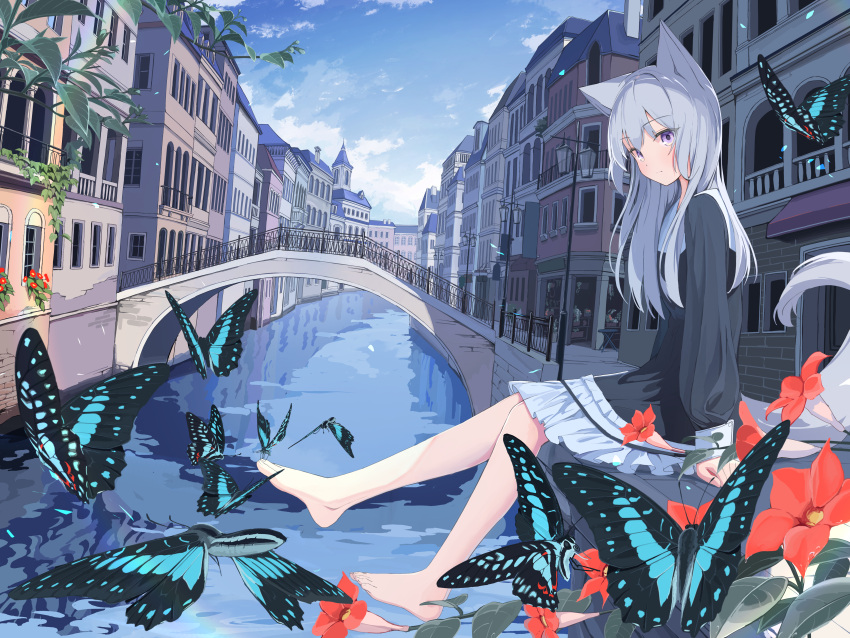 1girl absurdres animal_ears bangs barefoot black_dress blue_sky blush bug butterfly canal clouds cloudy_sky commentary_request dress dutch_angle eyebrows_visible_through_hair eyelashes flower foreshortening frilled_dress frills highres knees_together_feet_apart long_hair long_sleeves looking_at_viewer mikisai original outdoors purple_hair shadow silver_hair sitting sky solo toes venice water