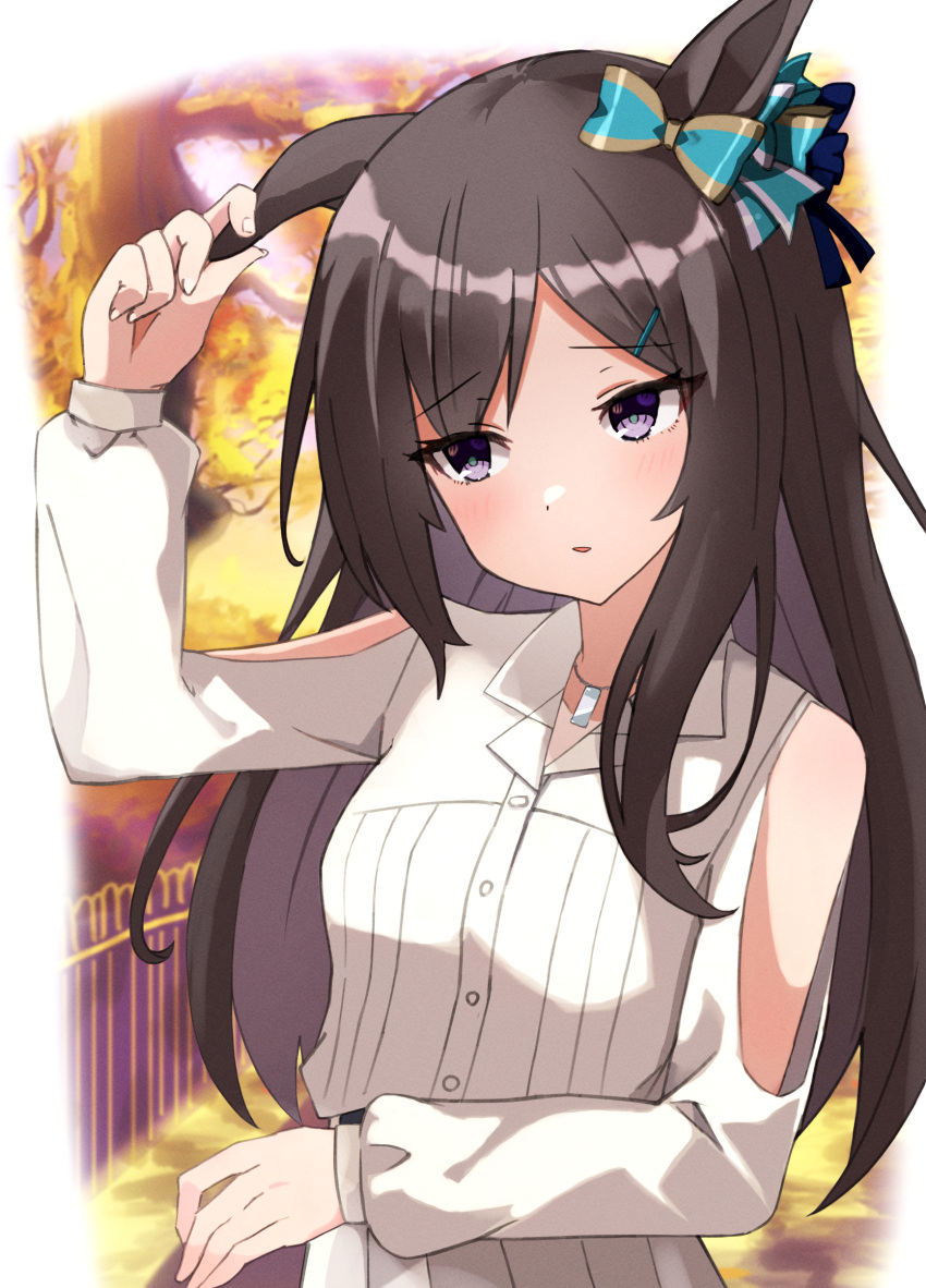 absurdres alternate_costume animal_ears black_hair blush breasts casual commentary_request hair_ornament hairclip highres horse_ears horse_girl jewelry looking_at_viewer looking_away medium_breasts mejiro_dober_(umamusume) musicccc necklace ribbon umamusume violet_eyes