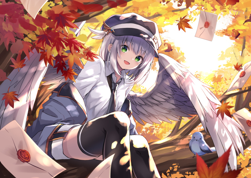 1girl autumn_leaves bangs bird bird_wings black_legwear blue_headwear blush branch breasts buckle cabbie_hat coat_of_arms collared_shirt commentary_request day eyebrows_visible_through_hair eyelashes feather_hat_ornament feathered_wings feet_out_of_frame grey_eyes hanging_legs hat in_tree kure~pu leaf letter long_sleeves looking_at_viewer mail open_mouth original shirt short_hair short_shorts shorts sidelocks silver_hair sitting sitting_in_tree small_breasts solo solo_focus sunlight thigh-highs tree white_shirt white_wings wing_collar wings