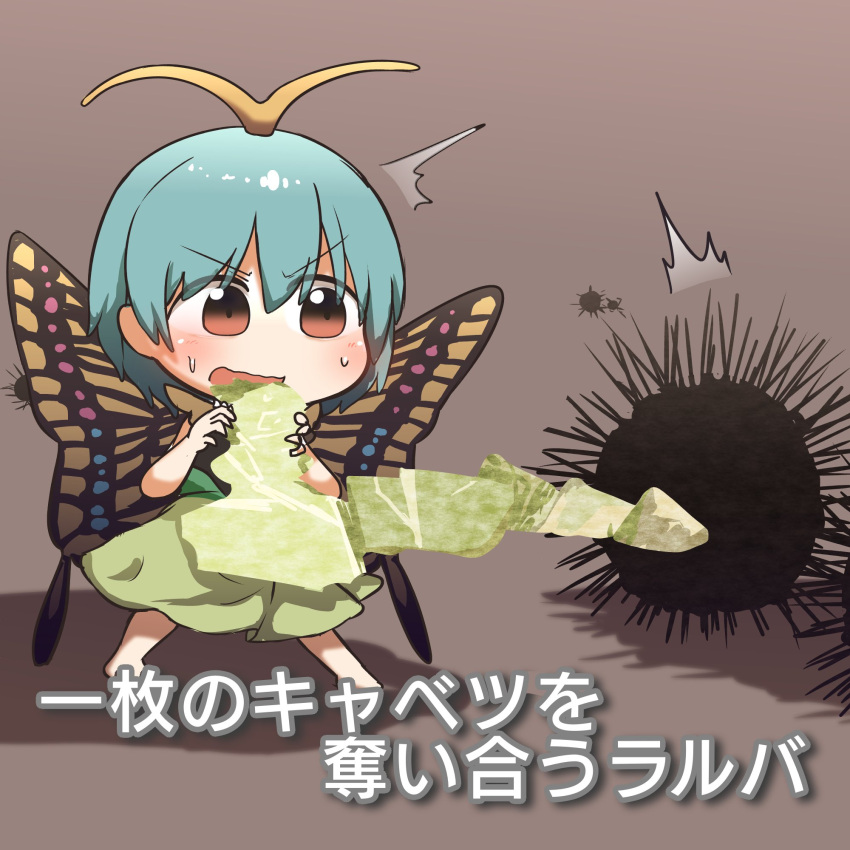 1girl animal antennae aqua_hair barefoot blush brown_background brown_eyes butterfly_wings cabbage dress eternity_larva eyebrows_visible_through_hair fairy food green_dress hair_between_eyes highres holding holding_food holding_vegetable kyoukei_usagi leaf leaf_on_head multicolored_clothes multicolored_dress open_mouth shadow short_hair short_sleeves simple_background single_strap solo touhou translation_request urchin vegetable wings