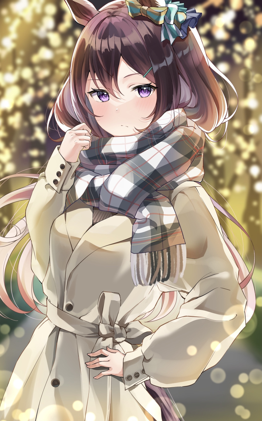 1girl absurdres akito_(eyzz3775) alternate_costume animal_ears blurry blurry_background blush breasts casual commentary_request hair_between_eyes hair_ornament hairclip highres horse_ears medium_breasts mejiro_dober_(umamusume) night_light scarf solo umamusume violet_eyes