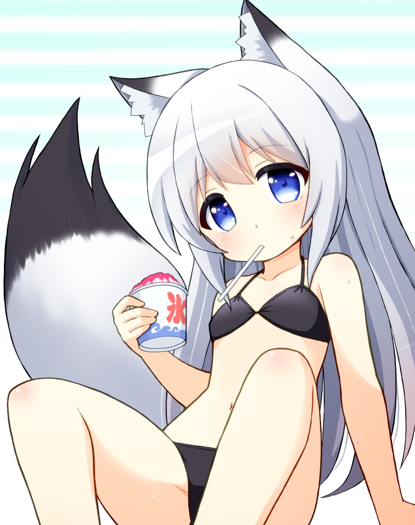 1girl absurdres animal_ear_fluff animal_ears bikini black_bikini blue_eyes breasts fox_ears fox_girl fox_tail highres long_hair looking_at_viewer mogura2009 mouth_hold navel original shaved_ice silver_hair sitting small_breasts solo swimsuit tail thighs
