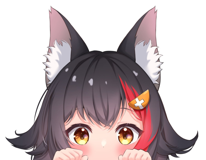 1girl animal_ear_fluff animal_ears bangs black_hair blush commentary_request eyebrows_visible_through_hair hair_between_eyes hair_flaps highres hololive looking_at_viewer multicolored_hair ookami_mio peeking redhead simple_background solo streaked_hair takumin_dx virtual_youtuber white_background wolf_ears wolf_girl yellow_eyes