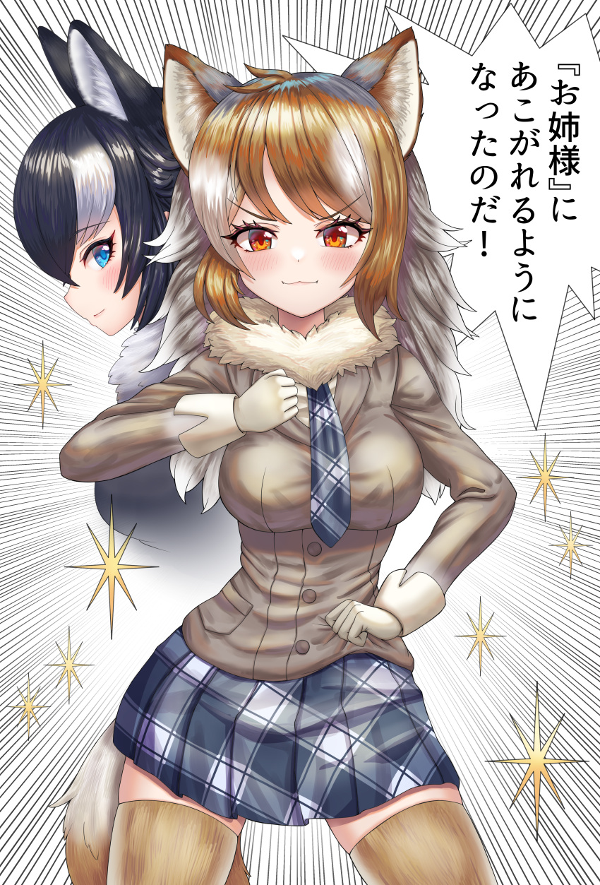 2girls :3 absurdres animal_ears black_hair blue_eyes blush breasts brown_eyes brown_hair brown_legwear closed_mouth eyebrows_visible_through_hair gloves grey_wolf_(kemono_friends) highres italian_wolf_(kemono_friends) jojo_pose kemono_friends long_hair long_sleeves looking_at_viewer medium_breasts multicolored_hair multiple_girls neukkom plaid plaid_skirt pleated_skirt pose skirt smile speech_bubble speed_lines tail thigh-highs translation_request white_gloves white_hair wolf_ears wolf_girl wolf_tail