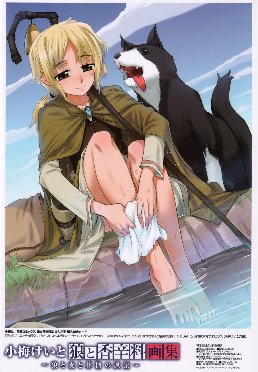 animal bag barefoot blonde_hair blush brown_eyes cape dog enekk feet feet_in_water highres koume_keito nora_arento ponytail scan shepherd shepherd's_crook shepherd's_crook short_hair sitting skirt sky smile soaking_feet solo spice_and_wolf spread_toes staff toes water wet
