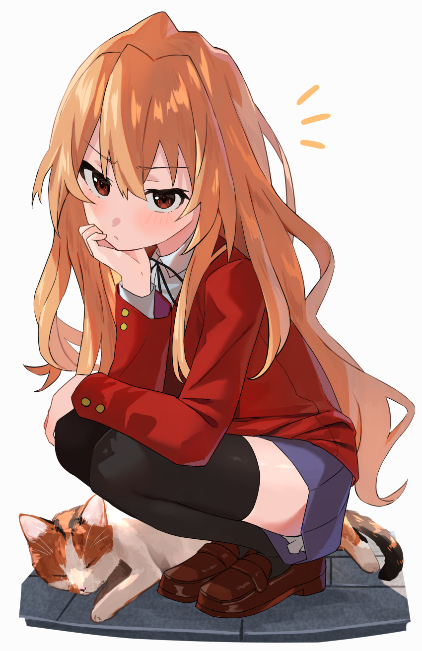 1girl absurdres aisaka_taiga arm_rest artist_request bangs black_legwear black_ribbon blazer blue_skirt brown_eyes brown_footwear brown_hair cat closed_mouth collared_shirt commentary eyebrows_visible_through_hair full_body head_rest highres jacket light_blush long_hair long_sleeves looking_at_viewer neck_ribbon notice_lines oohashi_high_school_uniform pleated_skirt pouty_lips red_jacket ribbon school_uniform shirt shoes skirt solo squatting thigh-highs toradora! white_background white_shirt