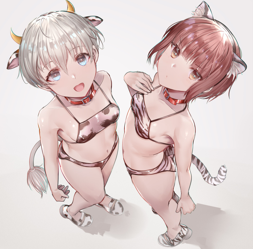 2girls absurdres animal_ears animal_print bangs bare_arms bare_legs bare_shoulders bikini blue_eyes blush brown_eyes closed_mouth collarbone cow_ears cow_horns cow_print cow_tail eyebrows_visible_through_hair fake_animal_ears fake_horns full_body grey_background hair_between_eyes highres horns interstellar kantai_collection looking_at_viewer multiple_girls navel open_mouth redhead shoes short_hair simple_background smile swimsuit tail tiger_ears tiger_print tiger_tail white_bikini white_hair z1_leberecht_maass_(kancolle) z3_max_schultz_(kancolle)