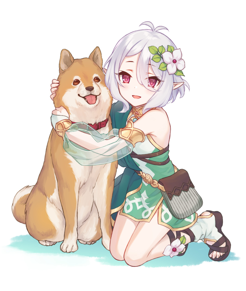 1girl akita_inu antenna_hair bag detached_sleeves dog dress flower full_body green_dress hair_between_eyes hair_flower hair_ornament highres hug kneeling kokkoro_(princess_connect!) looking_at_viewer masami_(souzou_jinsei_sanka) official_style open_mouth pointy_ears princess_connect! shoulder_bag simple_background solo violet_eyes white_background white_hair