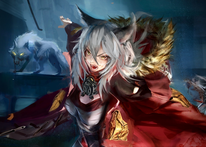 1girl animal animal_ears blood blood_from_mouth blood_on_face breasts combat_knife fur-trimmed_hood fur_trim glowing glowing_eyes grey_hair highres hood jacket knife mask mask_around_neck medium_breasts medium_hair onesail3 open_mouth projekt_red_(arknights) red_jacket weapon wolf wolf_ears wolf_girl yellow_eyes
