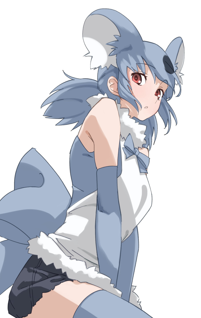 1girl absurdres animal_ears bare_shoulders between_legs brown_eyes commentary elbow_gloves extra_ears eyebrows_visible_through_hair fur_collar gloves grey_gloves grey_hair grey_legwear hand_between_legs highres kemono_friends koala_(kemono_friends) long_hair looking_at_viewer low_twintails parted_lips simple_background sleeveless solo tanabe_(fueisei) thigh-highs twintails white_background