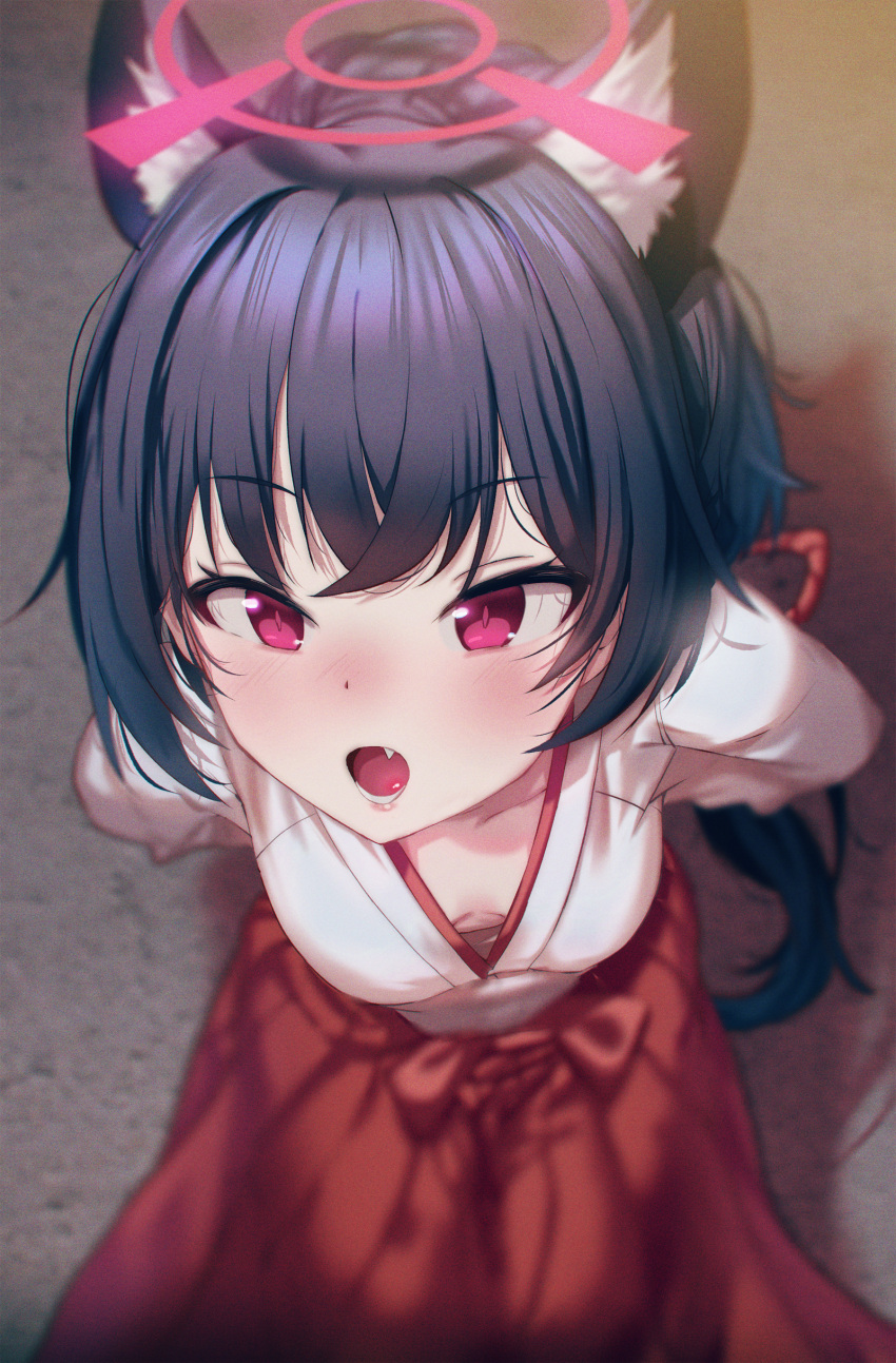 absurdres animal_ear_fluff animal_ears arms_behind_back bangs blue_archive blue_hair blurry blush breasts breasts_apart cat_ears commentary_request depth_of_field downblouse fang hakama highres japanese_clothes kimono leaning_forward lips long_hair looking_at_viewer lower_teeth miko nose_blush red_hakama serika_(blue_archive) shadow shuru_y slit_pupils small_breasts teeth violet_eyes white_kimono