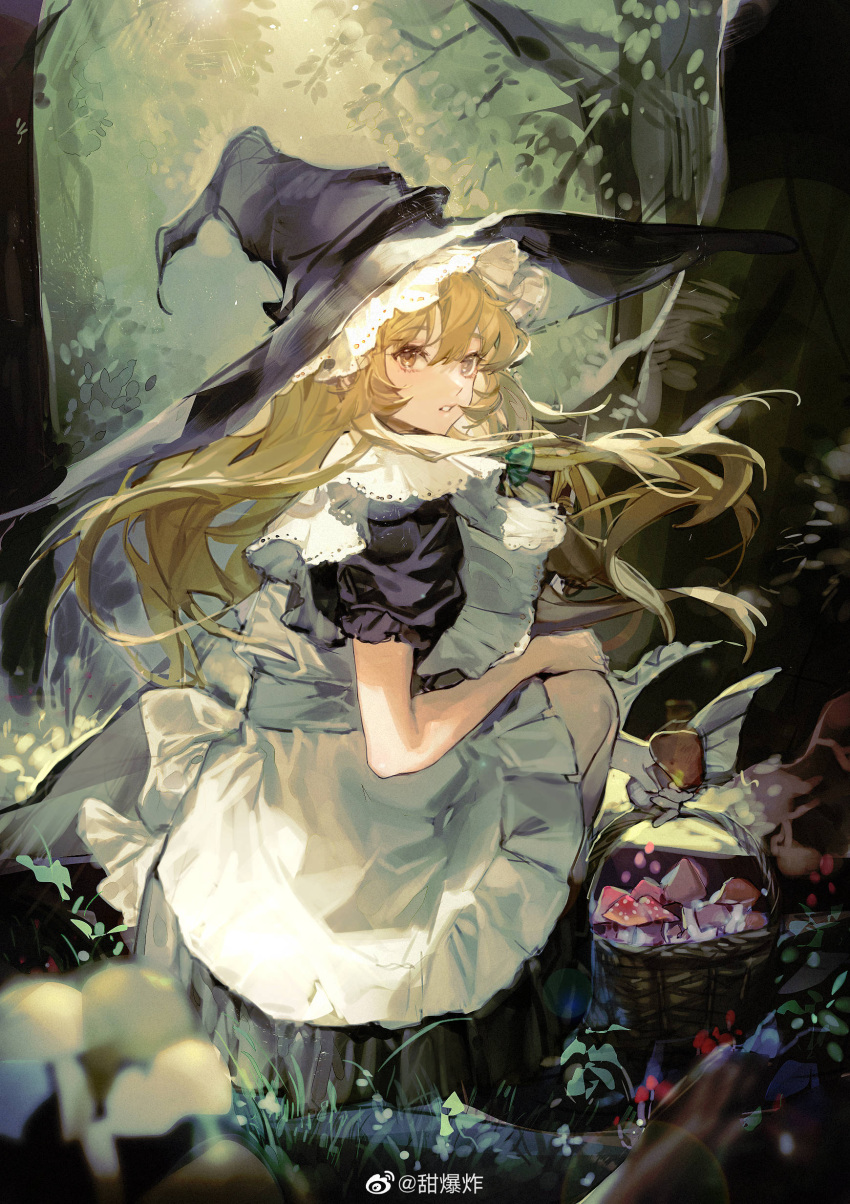 1girl absurdres bangs basket blonde_hair curly_hair eyebrows_behind_hair eyebrows_visible_through_hair forest grass hair_between_eyes hat highres holding holding_basket kirisame_marisa long_hair looking_at_viewer looking_back nature solo squatting tian_(my_dear) touhou tree witch witch_hat yellow_eyes