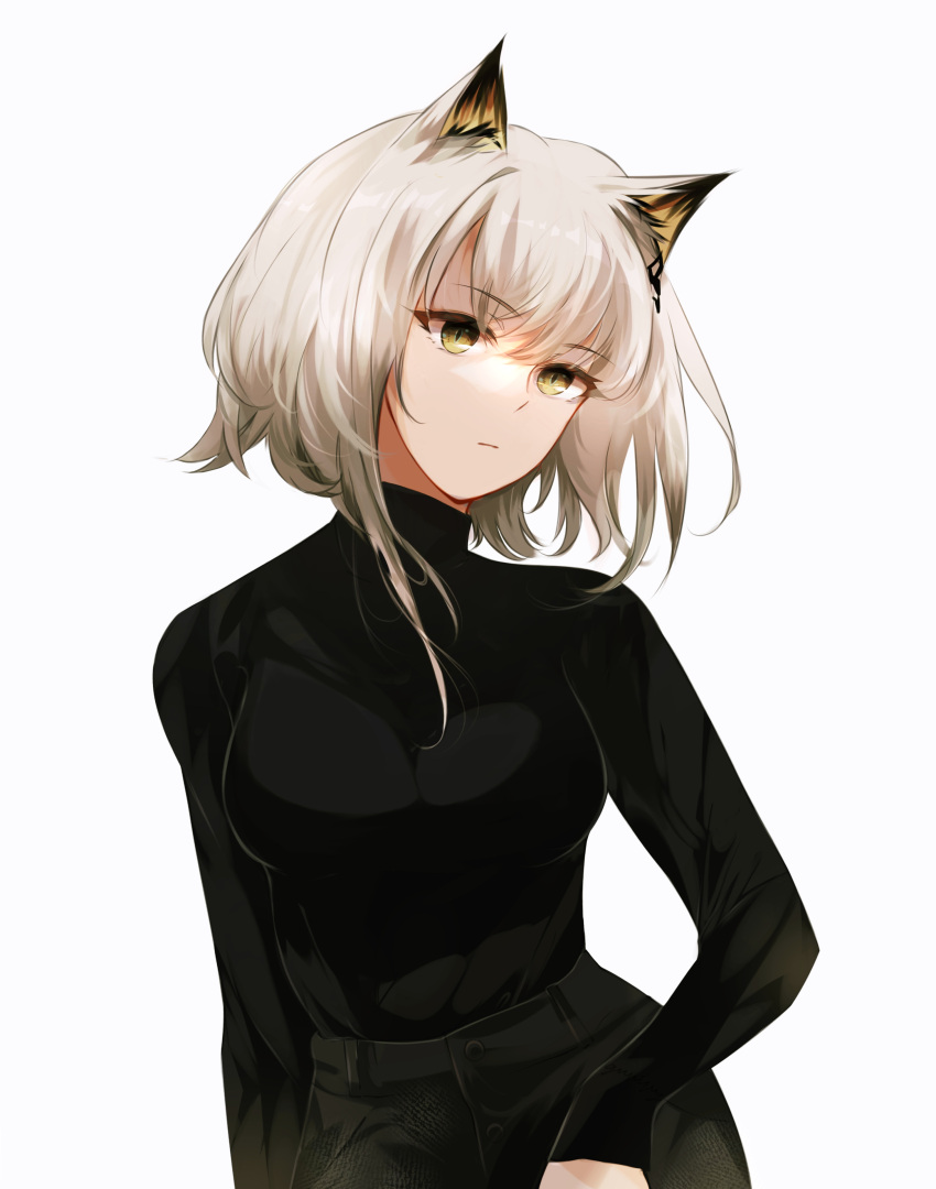 1girl absurdres alternate_costume animal_ear_fluff animal_ears arknights bangs black_pants black_sweater breasts brown_eyes cat_ears closed_mouth cowboy_shot eyebrows_visible_through_hair gupipy highres kal'tsit_(arknights) long_sleeves looking_at_viewer medium_breasts pants short_hair silver_hair simple_background sleeves_past_wrists solo sweater white_background