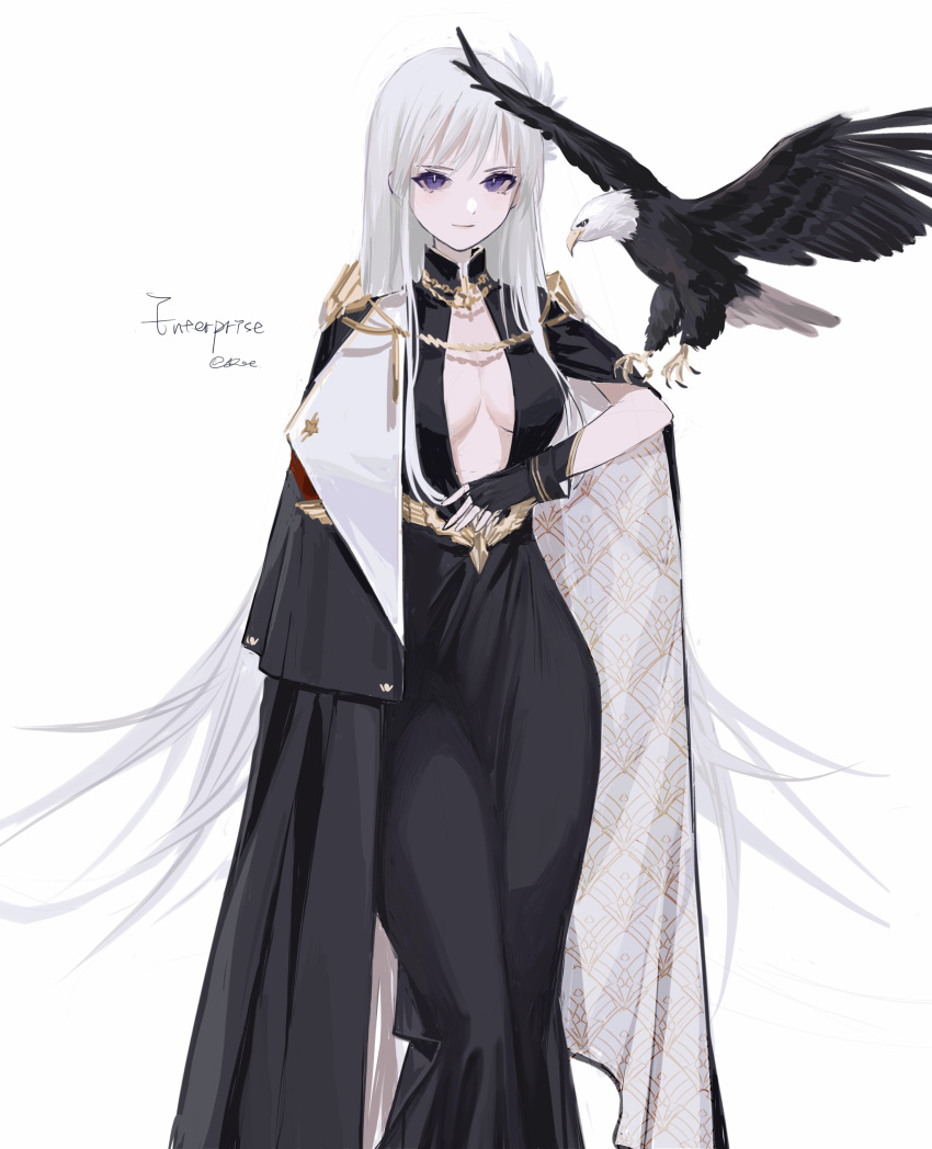 1girl absurdres azur_lane bangs bird bird_on_hand black_dress black_gloves breasts character_name closed_mouth dress eagle enterprise_(azur_lane) enterprise_(heroic_finery)_(azur_lane) eyebrows_visible_through_hair feet_out_of_frame fingerless_gloves gloves highres long_hair looking_at_viewer medium_breasts official_alternate_costume rae_(632230212) silver_hair solo standing violet_eyes white_background