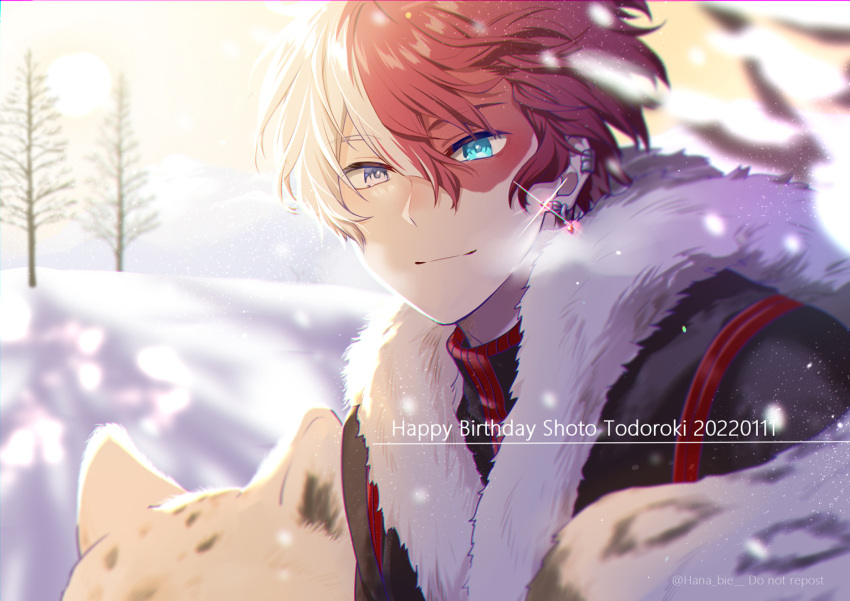 1boy bangs bare_tree blue_eyes blurry blurry_background blurry_foreground boku_no_hero_academia breath burn_scar character_name dappled_sunlight dated depth_of_field ear_piercing earrings english_text foreground_text fur-trimmed_jacket fur_trim glint hair_between_eyes hair_blowing hana_bie happy_birthday heterochromia jacket jewelry long_bangs looking_at_viewer male_focus multicolored_hair multiple_piercings piercing redhead scar scar_on_face short_hair smile snow snow_leopard solo_focus split-color_hair stud_earrings sunlight todoroki_shouto tree two-tone_hair white_hair winter_clothes