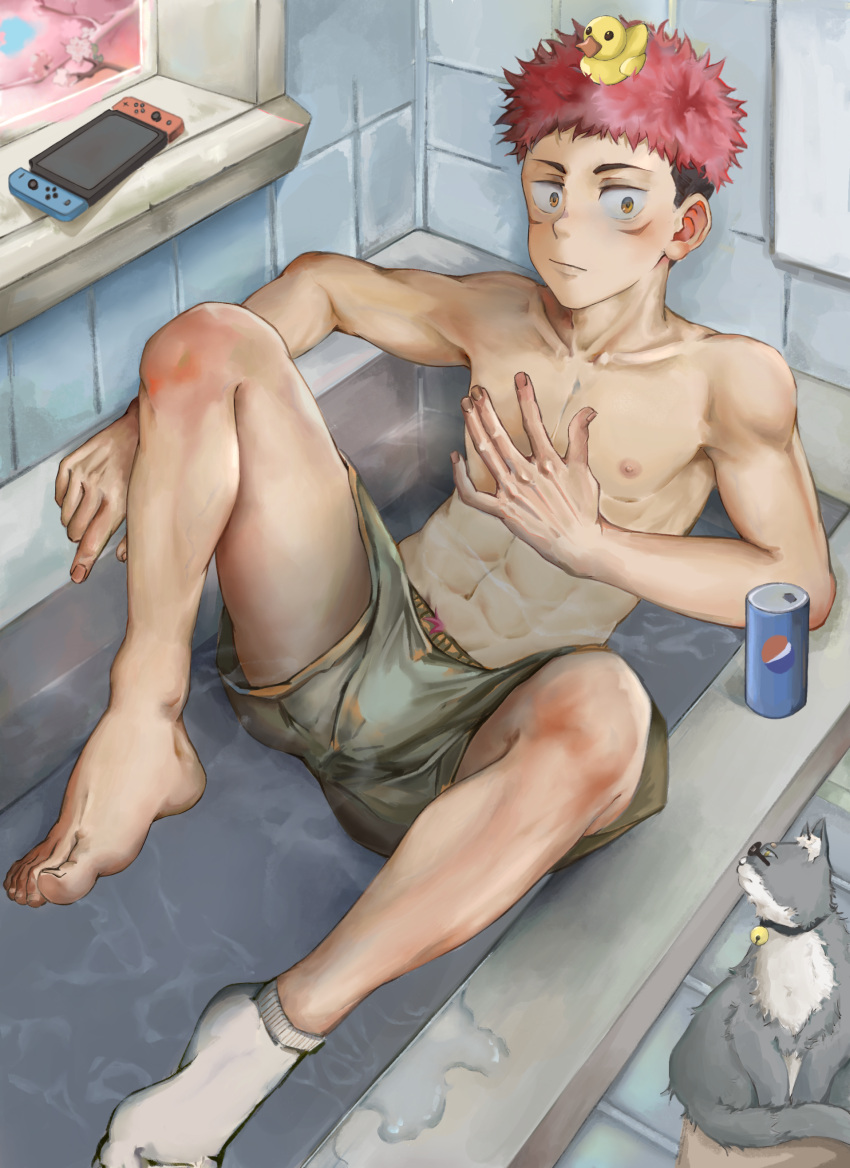 1boy abs absurdres animal bathing bathtub boxer_briefs brown_eyes can cat closed_mouth ezur3885 feet grey_male_underwear hand_on_own_chest handheld_game_console highres itadori_yuuji jujutsu_kaisen looking_at_viewer male_focus male_underwear navel nintendo_switch nipples partially_submerged pink_hair rubber_duck short_hair single_sock socks soda_can solo thighs toned toned_male undercut underwear water
