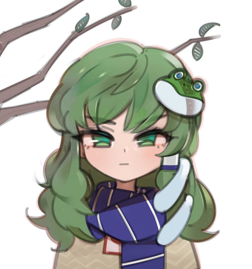 1girl bangs blue_scarf blush brown_sweater eyebrows_visible_through_hair frog_hair_ornament green_eyes green_hair hair_ornament highres kochiya_sanae looking_at_viewer medium_hair onionsketch portrait scarf solo sweater touhou v-shaped_eyebrows white_background
