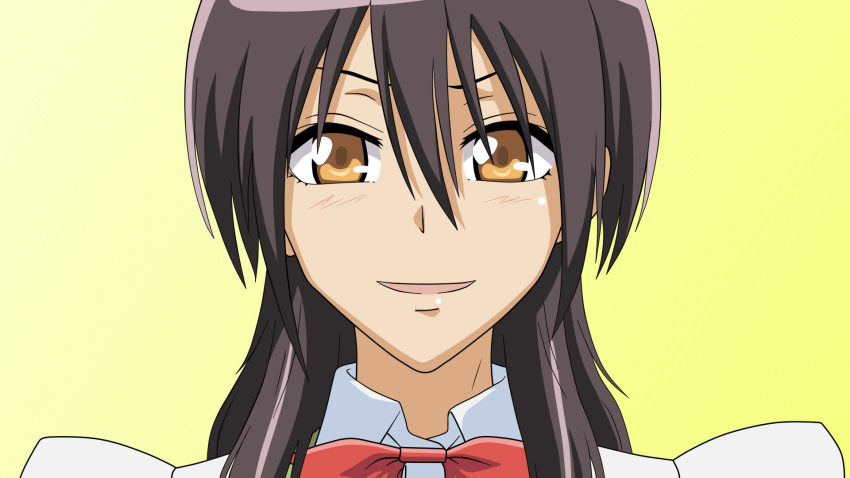 ayuzawa_misaki black_hair brown_eyes close kaichou_wa_maid_sama long_hair ribbons vector