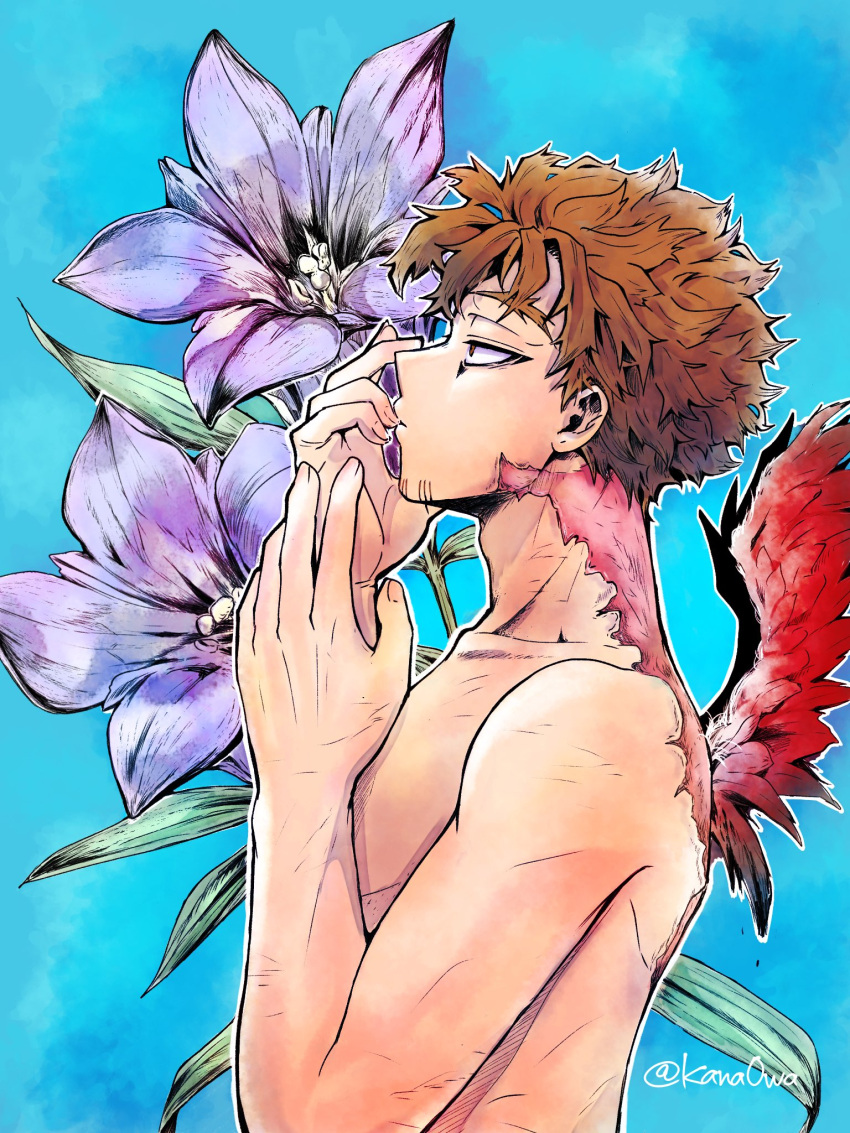 adam's_apple alternate_eye_color alternate_hair_color blue_background boku_no_hero_academia brown_eyes brown_hair burn_scar collarbone facial_hair facial_mark feathered_wings flower goatee hands_up hawks_(boku_no_hero_academia) highres kana0wa looking_ahead profile red_feathers scar scar_on_back scar_on_face scar_on_neck short_hair stubble topless_male twitter_username upper_body wings