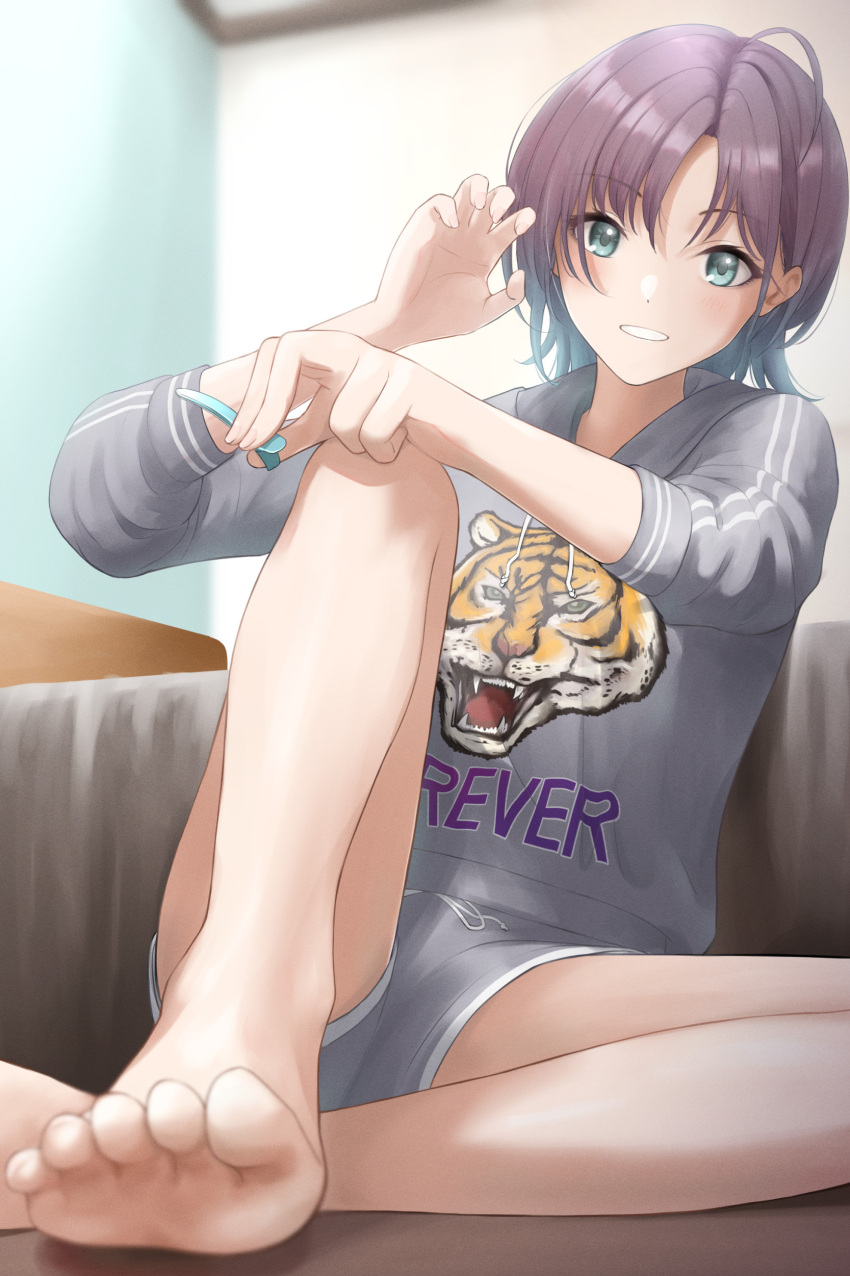 1girl absurdres ahoge animal_print aqua_eyes asakura_tooru bare_legs barefoot blue_hair brown_hair chinese_zodiac commentary_request feet gradient_hair highres hood hoodie idolmaster idolmaster_shiny_colors looking_at_viewer loungewear multicolored_hair oka_yuto short_hair short_shorts shorts sitting soles solo tiger_print year_of_the_tiger