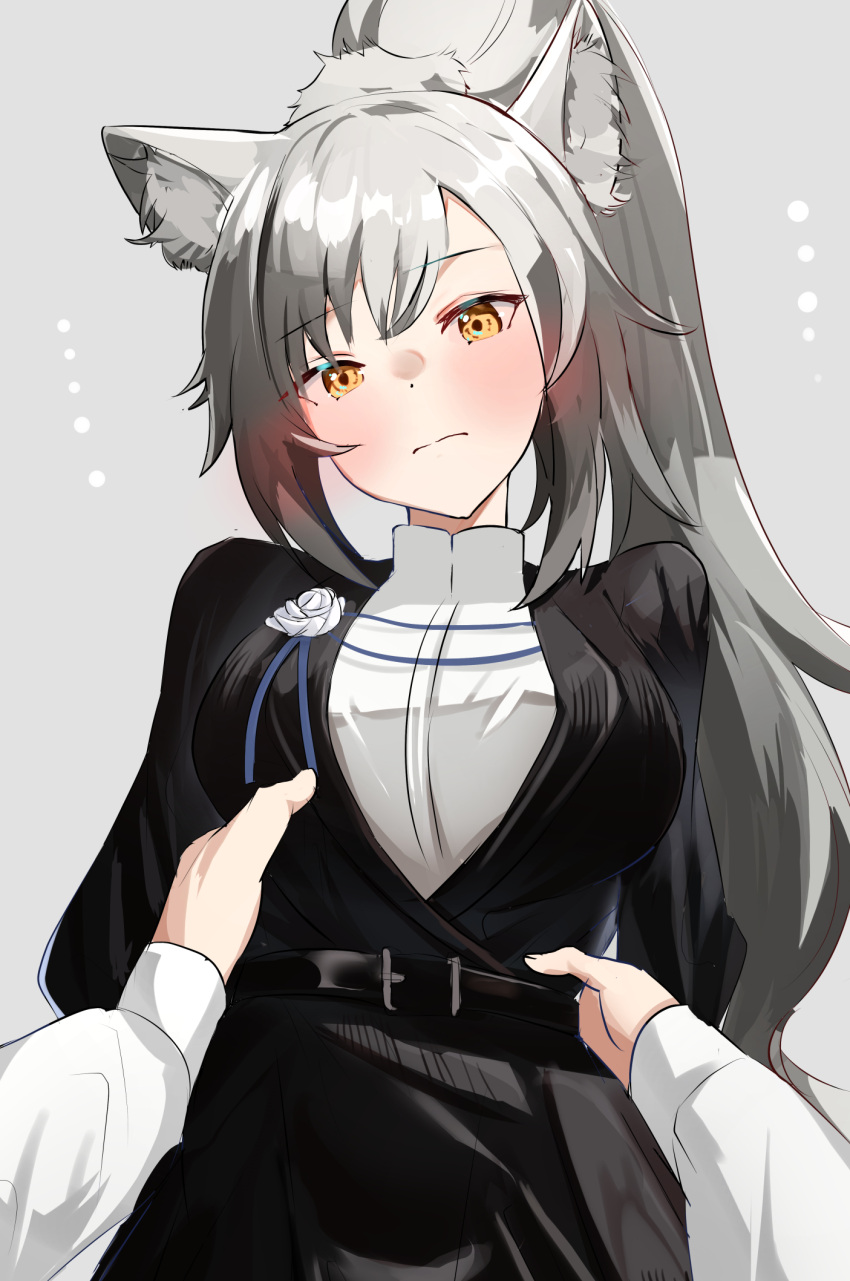 1girl 3: alternate_costume animal_ear_fluff animal_ears arknights bangs belt belt_buckle black_coat blush breasts buckle cat_ears closed_mouth coat eyebrows_visible_through_hair grey_background head_tilt high_ponytail highres large_breasts long_sleeves looking_at_viewer ponytail pov schwarz_(arknights) sidelocks silver_hair simple_background solo_focus solokitsune torso_grab yellow_eyes