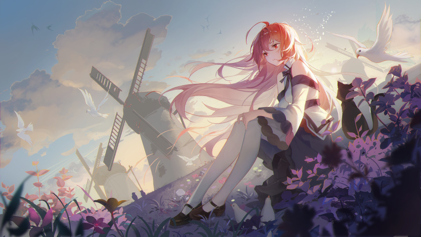 1girl bangs bird cat clouds diaoche_wei dove dress eris_greyrat grass highres long_hair looking_away mushoku_tensei redhead ribbon scenery shoes sitting sky solo tsundere white_legwear windmill