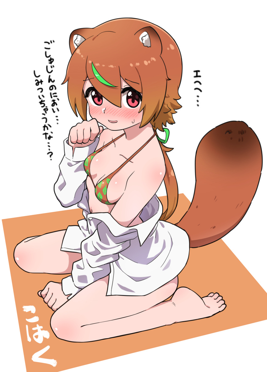 1girl absurdres animal_ear_fluff animal_ears bangs barefoot bikini blush brown_hair commentary_request eyebrows_visible_through_hair hair_between_eyes highres kohaku_(ngetyan) leaf_print long_sleeves looking_at_viewer low_ponytail ngetyan no_pants off_shoulder open_clothes open_shirt original print_bikini raccoon_ears raccoon_girl raccoon_tail red_eyes shirt simple_background sitting solo swimsuit tail translation_request white_background white_shirt