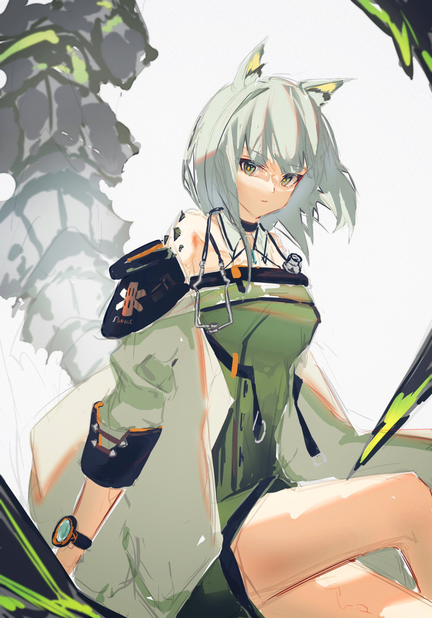 1girl animal_ear_fluff animal_ears arknights bare_shoulders black_choker cat_ears cat_girl choker dress eyebrows_visible_through_hair green_dress green_eyes green_hair highres kal'tsit_(arknights) long_hair mon3tr_(arknights) off-shoulder_jacket off_shoulder oripathy_lesion_(arknights) parted_lips rinne0611 sleeveless sleeveless_dress solo stethoscope watch watch white_background