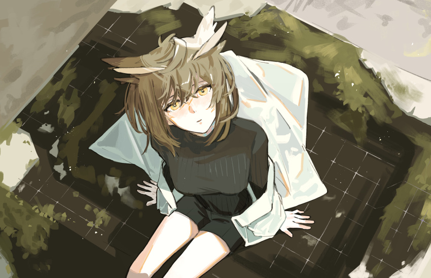 1girl arknights arm_support black_shorts black_sweater brown_hair coat feather_hair feet_out_of_frame hair_between_eyes highres jacket labcoat looking_at_viewer no_eyewear off_shoulder open_clothes open_coat owl_ears parted_lips ribbed_sweater short_hair shorts silence_(arknights) sitting solo sweater symbol-only_commentary white_jacket yellow_eyes zy