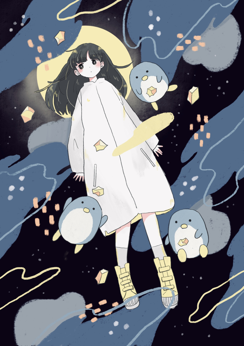 1girl absurdres ansai bird black_eyes black_hair dress highres long_hair long_sleeves looking_afar looking_to_the_side moon night night_sky original pajamas pale_skin penguin sky socks star_(sky) starry_sky white_dress