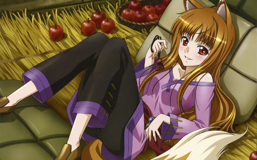 animal_ears brown_hair holo long_hair red_eyes spice_and_wolf tail wolfgirl