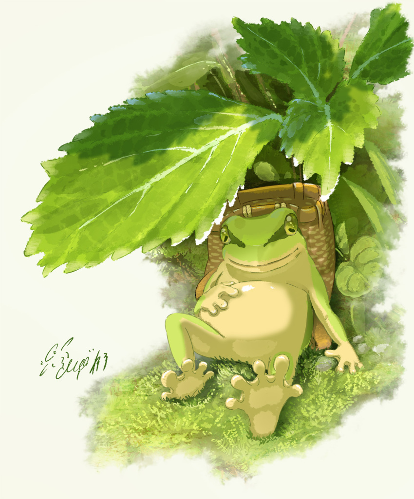 artist_name basket frog grass hachiya_shohei highres leaf looking_at_viewer no_humans original outdoors plant sitting white_background