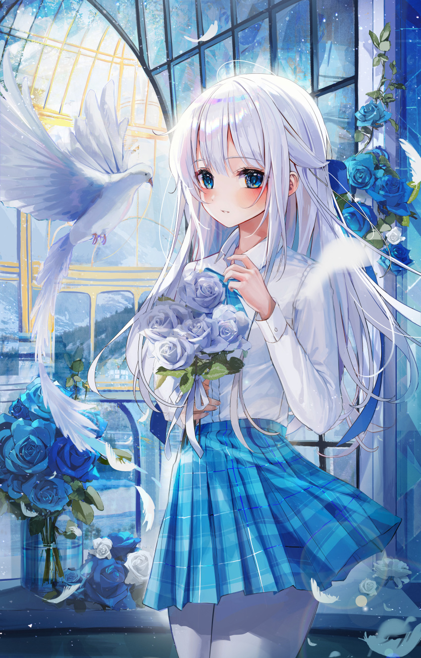 1girl absurdres bangs bird blue_eyes blue_flower blue_rose blue_skirt blush bouquet commentary_request dove eumi_114 flower hand_up highres holding holding_bouquet indoors long_hair long_sleeves looking_at_viewer original pantyhose parted_lips plaid plaid_skirt pleated_skirt rose shirt skirt solo tagme white_flower white_hair white_legwear white_rose white_shirt window