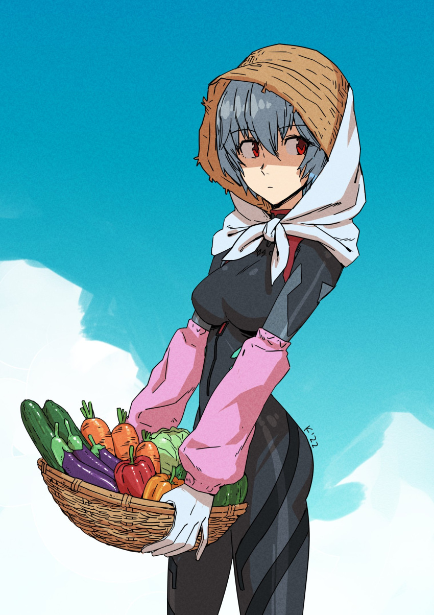 1girl ayanami_rei basket bell_pepper blue_hair blue_sky brown_headwear cabbage carrot closed_mouth clouds cucumber dated eggplant eyebrows_visible_through_hair food fruit gloves hair_between_eyes hat highres holding holding_basket kinuko_(kinucakes) neon_genesis_evangelion outdoors pepper plugsuit red_eyes signature sky solo standing straw_hat watermelon white_gloves