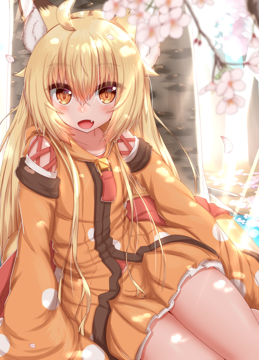 1girl :d ahoge animal_ear_fluff animal_ears bangs blonde_hair blush cherry_blossoms collarbone dress eyebrows_visible_through_hair eyes_visible_through_hair fang fox_ears fox_girl fox_tail hair_between_eyes hair_over_shoulder highres horokusa_(korai) korai_(horokusa) long_hair long_sleeves looking_at_viewer orange_dress orange_eyes original short_dress sitting slit_pupils smile solo tail wide_sleeves zipper