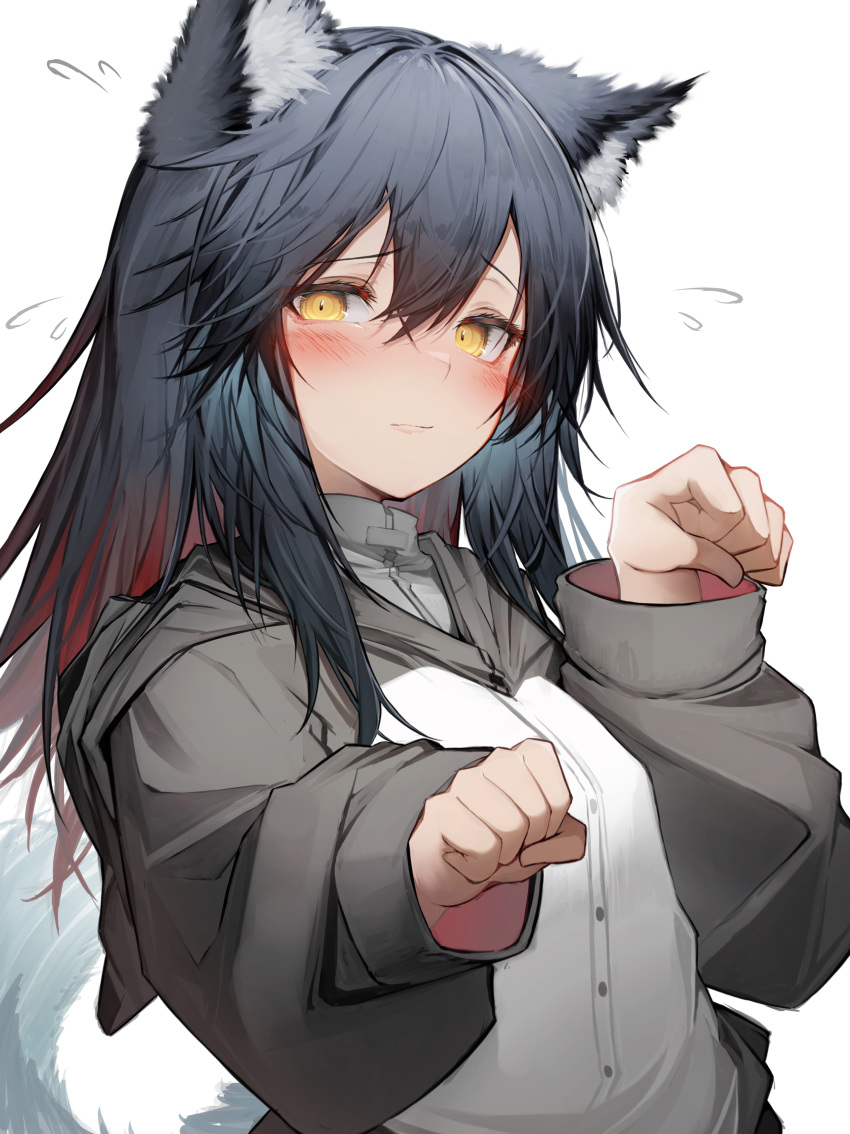 1girl absurdres animal_ears arknights black_hair blush closed_mouth eyebrows_visible_through_hair gradient_hair grey_jacket hair_between_eyes highres jacket long_hair long_sleeves looking_at_viewer multicolored_hair redhead simple_background solo tab_head tail texas_(arknights) upper_body white_background wolf_ears wolf_tail yellow_eyes