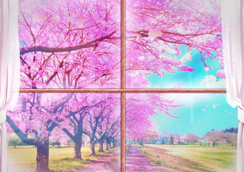 aobara1101 blue_sky cherry_blossoms commentary_request curtains day highres no_humans original petals scenery sky spring_(season) sunlight window