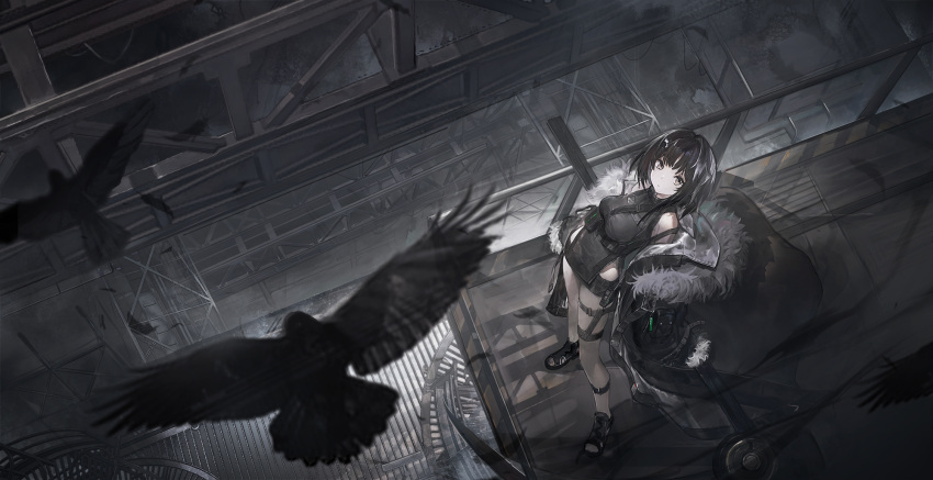 1girl arknights bangs bare_shoulders bird black_hair black_shirt black_shorts blunt_bangs blurry blurry_foreground breasts brown_eyes cable closed_mouth contrapposto crow expressionless from_above full_body fur_trim hair_ornament hairclip highres holding holding_weapon jacket la_pluma_(arknights) long_coat looking_at_viewer medium_breasts off_shoulder open_clothes outdoors pouch scaffolding scythe shirt shoes short_hair shorts sleeveless sleeveless_shirt solo stairs standing sunlight thigh_strap toeless_footwear weapon xiao_feng