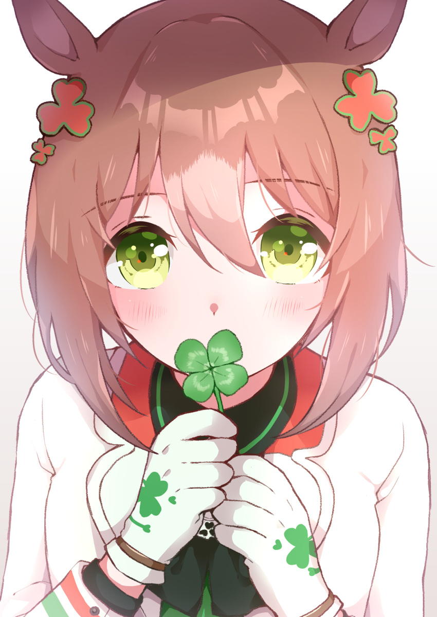 1girl animal_ears bangs blush brown_hair clover clover_hair_ornament clover_print commentary_request covered_mouth eyebrows_visible_through_hair fine_motion_(umamusume) four-leaf_clover gloves green_eyes hair_between_eyes hair_ornament hands_up highres holding holding_clover horse_ears jacket long_sleeves looking_at_viewer print_gloves sidelocks simple_background solo umamusume upper_body utaso_(satsuo) white_background white_gloves white_jacket